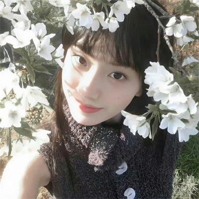 水上回光